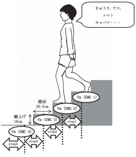 図 1 階段降下時の下腿筋の筋活動量および各段の Step 時間