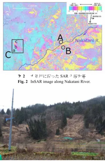 図 4  市場 1 号地区の地震による地すべり（2014 年 12 月 2 日小松原博士撮影）