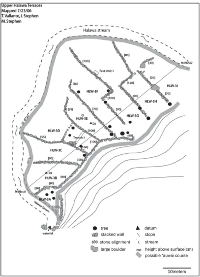 Figure 4 Irrigated Terrace Complex (HLW-3A to -3I), Upper West Halawa Gulch. This complex has 14 garden  plots, is 0.212 ha in total size, and has an average plot size of 151 m 2