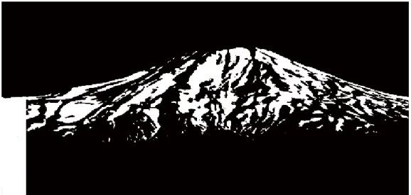 Fig. A1.7  Binarized image of snow cover areas on Mt. Chokai on June 8, 1983.