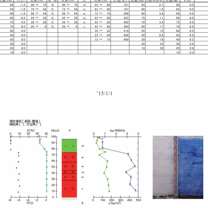 Fig. 6.5  Vertical profile of physical properties of snow at the SIRC on January 1, 2015.