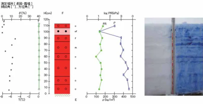 Fig. 6.7  Vertical profile of physical properties of snow at the SIRC on January 15, 2015.