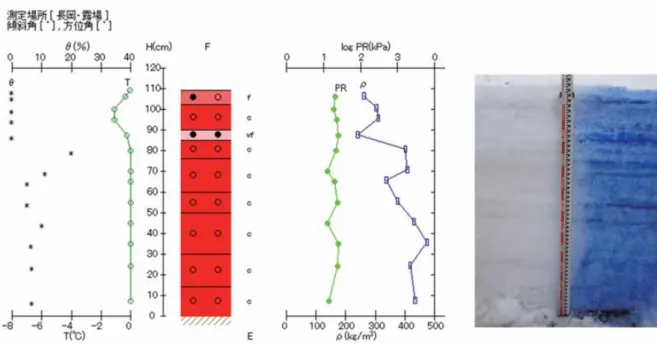 Fig. 6.8  Vertical profile of physical properties of snow at the SIRC on January 22, 2015.