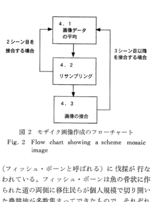 図  2  モ ザ イ ク画 像 作 成 の フ ロー チ ャ ー ト Fig.  2  Flow  chart  showing  a  scheme  mosaic 