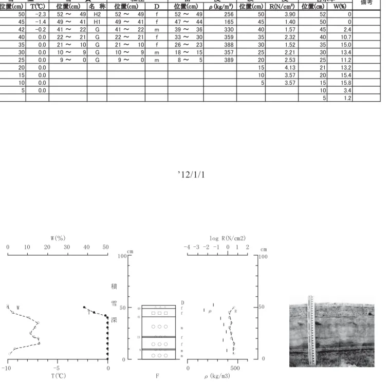 Fig. 6.2  Vertical proﬁ  le of physical properties of snow at the SIRC on January 1, 2012.