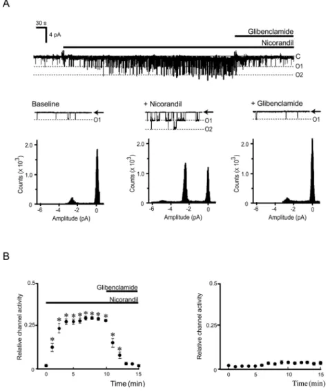 Figure 1. Shingle - channel characteristics of adenosine triphosphate - sensitive potassium channels in inside - out patch clamp configu- configu-ration