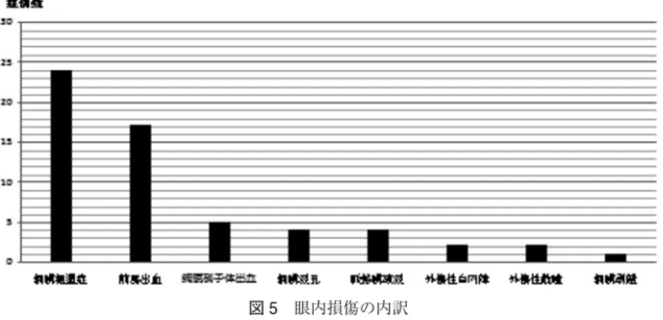 図 5  眼内損傷の内訳 ことであり，受傷機転とは直接眼窩に当たった物を示す． さらに眼内損傷の発生頻度は，受傷当日に受診した症例 に限っての検討も行った． 結 果 1．眼内損傷の発生頻度と視力予後 眼 窩 底 骨 折 整 復 術 を 施 行 し た 268 例 中 46 例 （17.2％）で眼内損傷を認めた．眼内損傷の内訳としては 網膜振盪症 24 例が最多で，次いで多かったのが前房出血 17 例であった（図 5）．終診時の矯正視力が 1.0 未満だっ た症例は 268 例中 4 例（1.5％）であった．