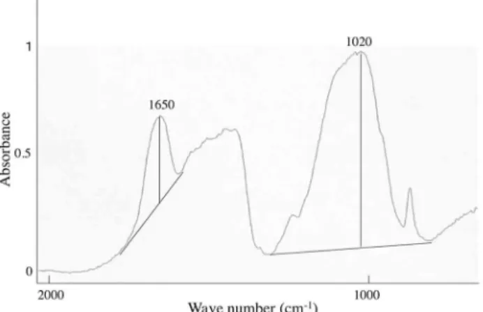 Figure 1. Fourier transform infrared spectroscopy (FTIR) spec- spec-tra of rat femur.