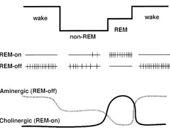Fig. 2. The model of physiological mechanisms determining alterations in vigilance level
