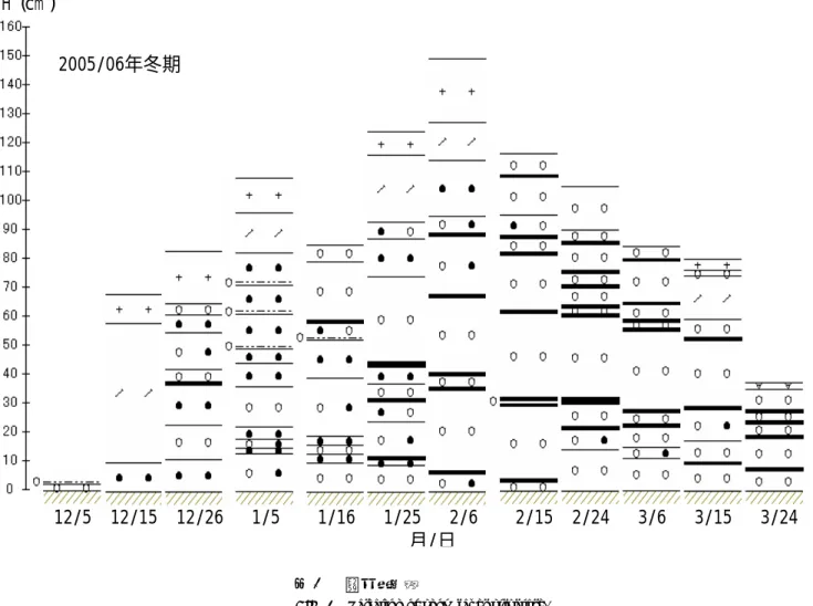 Fig. 7         Variation of snow layer structure. 