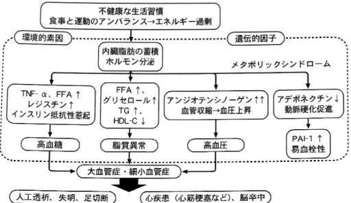 図 1  メタボリックシンドロームから代謝と身体への影響にアプローチ 表 2 メタボリックシンドロームの診断基準― 8学会策定新 基準（2005年 4月）― 腹腔内脂肪蓄積 男性≧ 85c mウエスト周囲径 女性≧ 90c m （内臓脂肪面積　男女とも≧ 100c m 2 に相当） 上記に加え以下のうち 2項目以上 ≧ 150mg/dl高トリグリセライド血症 かつ/または ＜ 40mg/dl 　男女とも低 HDLコレステロール血症 ≧ 130mmHg収縮期血圧 かつ/または ≧ 85mmHg拡張期血圧 ≧ 