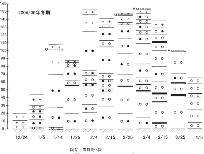 Fig. 7 Variation of snow layer structure.