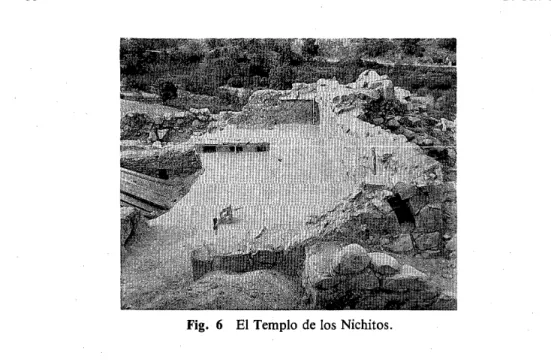 Fig.  6  El Templo  de  los  Nichitos. 