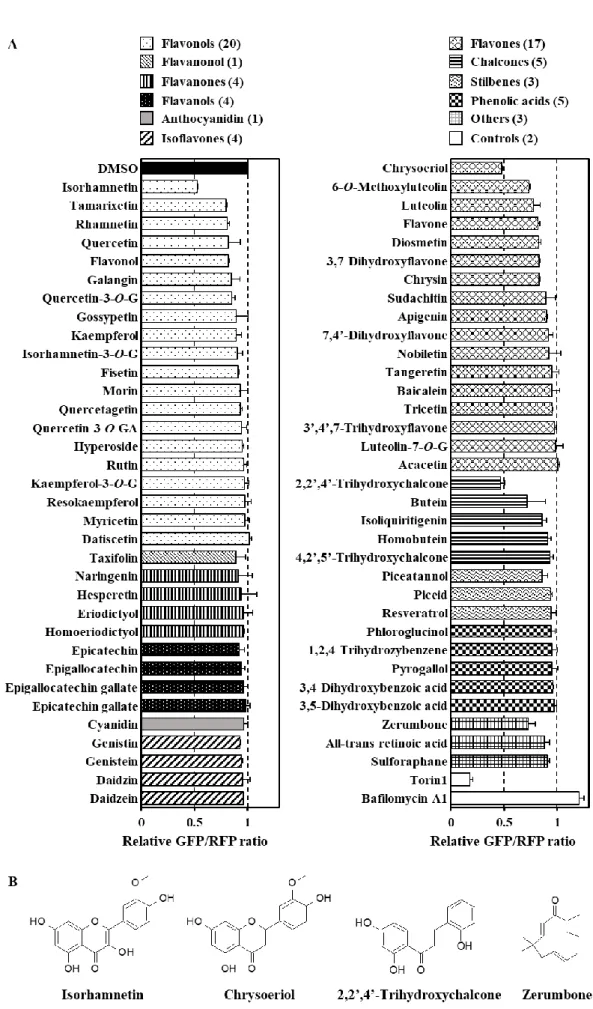 Figure 2. Four dietary phytochemicals, identified using the screening assay, that enhance the autophagy flux