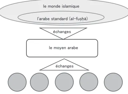 Figure 7  La langue littéraire, la langue orale et le moyen arabe
