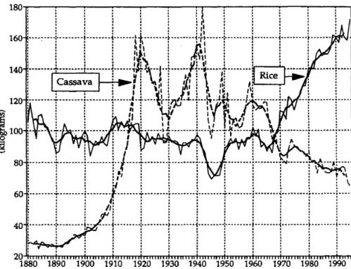 Fig. 3 Per Capita Gross Supply of Rice and Cassava. 1880-1995