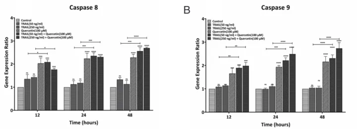 Fig. 2.   Real-Time PCR data for caspase 8 (A) and caspase 9 (B) expression in KG-1 cells treated with TRAIL (50 and 250 nM)  and QUE (100 μM) alone and in combination within 12, 14 and 48 hours of treatment
