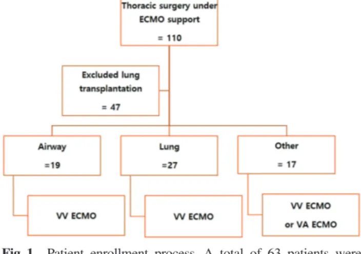 Fig. 1   Patient enrollment process. A total of 63 patients were  included. Between January 2011 and October 2018, 110  patients underwent thoracic surgery under ECMO support