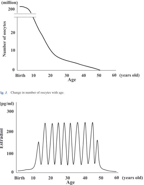 Fig. 1. Change in number of oocytes with age.