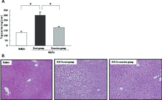 Fig. 2. Neutral fat content in the liver (A) and histological profile (B) mean ± standard error, *: p<0.05.