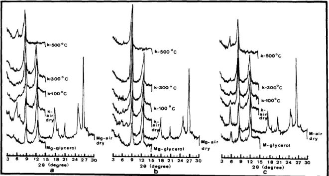 Fig. 5 X-Ray Diffractogram of Representative Profiles with Various Treatments