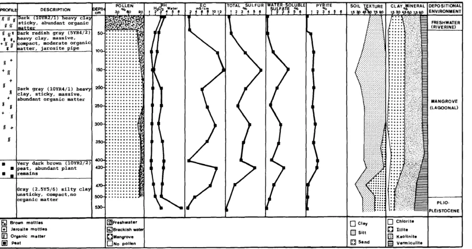 Fig. 6 Soil Profile, Chemical and Pollen Analyses, and Depositional Environment of Profile CIS