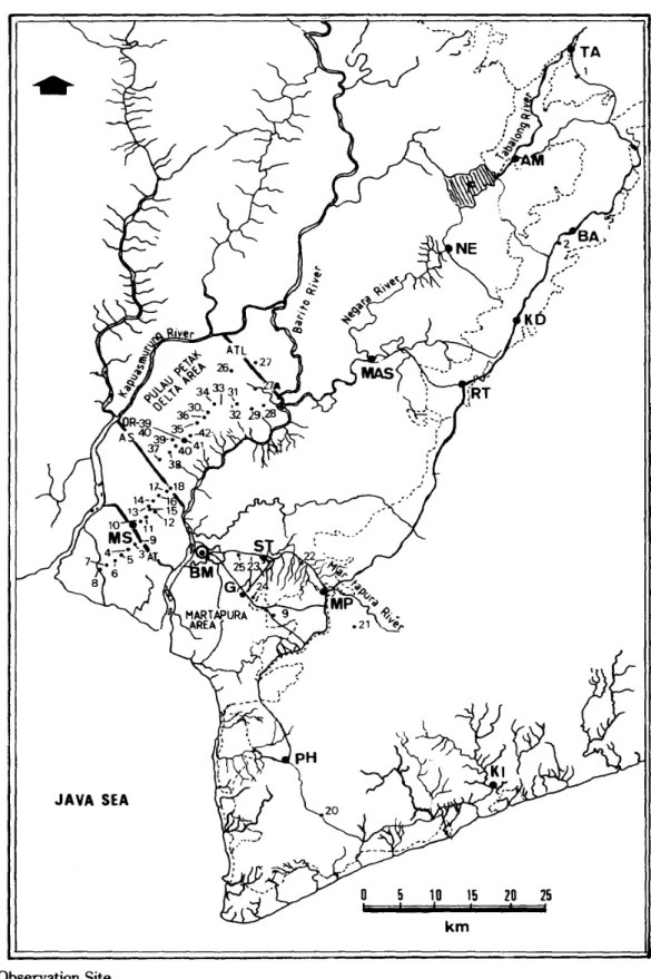 Fig. 3 Field Study Area in the Coastal Plain of South Kalimantan