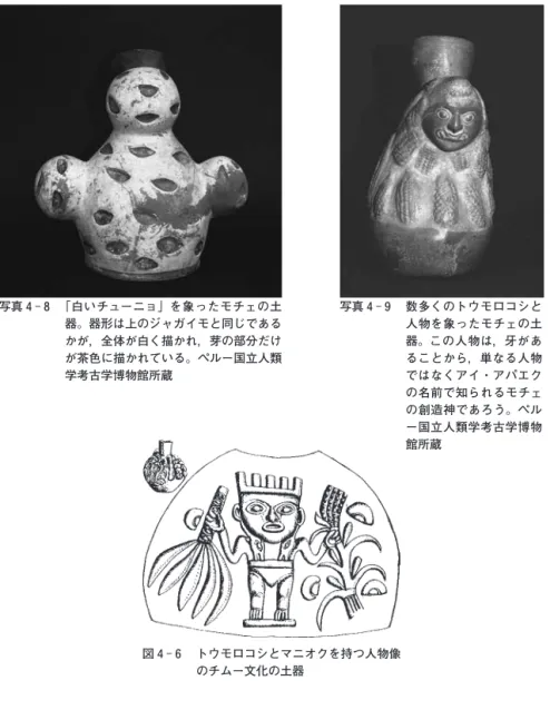 図 4 ‑ 6   トウモロコシとマニオクを持つ人物像 のチムー文化の土器写真 4‑8   「白いチューニョ」を象ったモチェの土器。器形は上のジャガイモと同じであるかが，全体が白く描かれ，芽の部分だけが茶色に描かれている。ペルー国立人類学考古学博物館所蔵 写真 4 ‑ 9   数多くのトウモロコシと 人物を象ったモチェの土器。この人物は，牙があることから，単なる人物ではなくアイ・アパエクの名前で知られるモチェの創造神であろう。ペルー国立人類学考古学博物館所蔵 な価値が与えられていたのではないかと考えられるの
