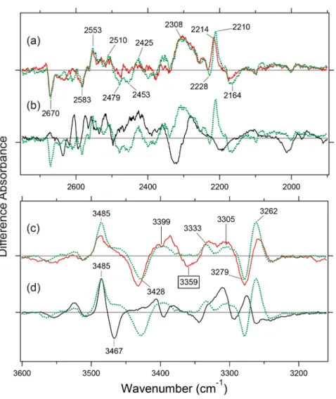 Figure 4a and b show the X-D stretch region of MR and  MG in D 2 O (red curve) and D 2 18 O (blue curve), respectively,  and the spectral changes at 2,700-2,450 cm –1  mostly  origi-nate from water stretching vibrations because of the  down-shift by isotop