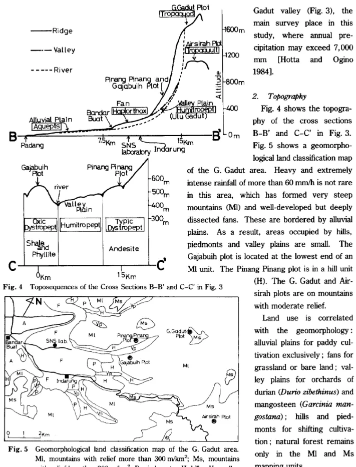 Fig. 4 shows the topogra- topogra-phy of the cross sections B-B' and C-C' in Fig. 3.