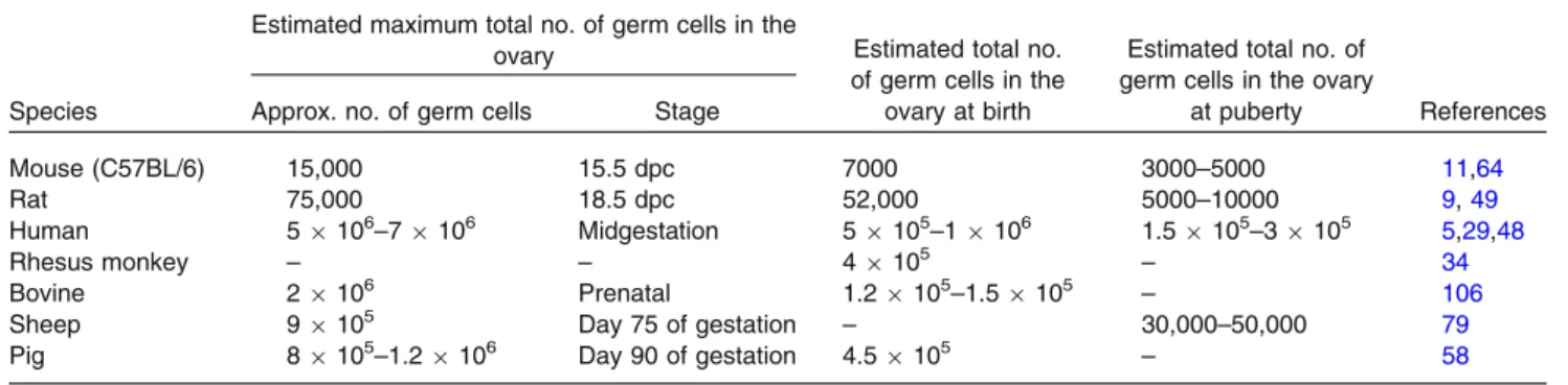 TABLE 1. The numbers of germ cells in mammalian species.