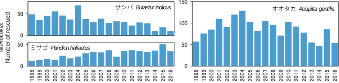 Fig. 1.  Changes in the number of rescued Grey-faced buzzards, Ospreys, and Goshawks.