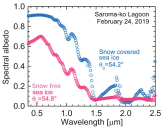 Fig. 8. Spectral albedos for snow covered- and -free sea ice,  respectively.  θ0  is solar zenith angle.