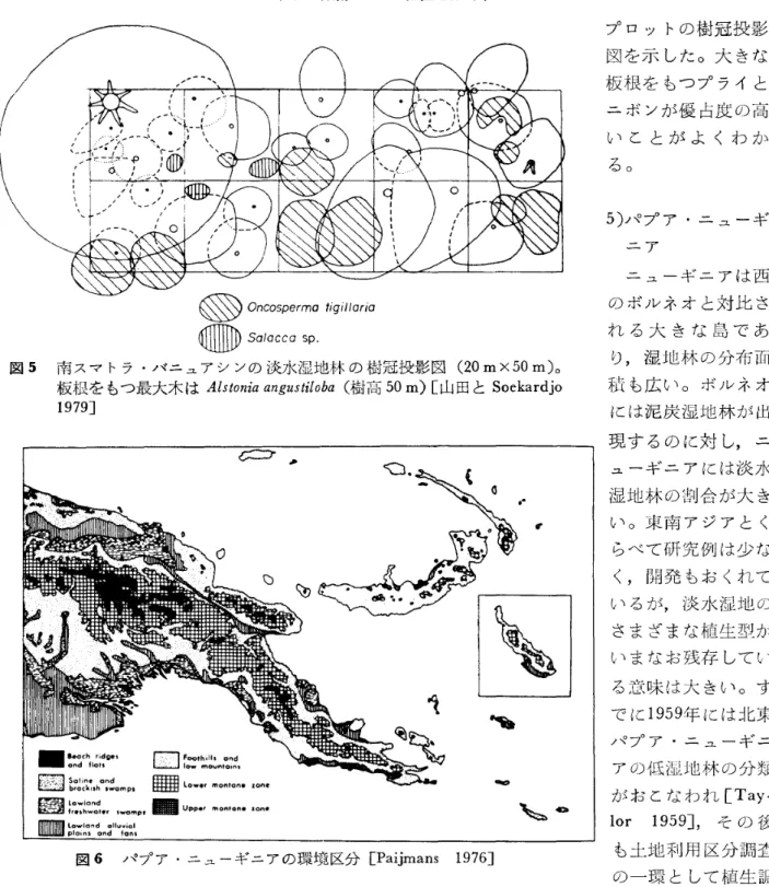 図 5 南スマ トラ ･バニュアシンの淡水湿地林 の樹冠投影図 ( 2 0mx50m) ｡ 坂根を もつ最大木は Al ∫ t o ni aangus i i l o b a ( 樹高 5 0m) [山田と Soe kar dj o 1 97 9] 図 6 パプア ･ニューギニアの環境区分 [ Pai j mans 1 97 6] 木 が 1本 入 るか ど うか に よ って蓄 積 量 もかな りか わ って くるが, 一 応 の 目安 と して , この 値 を示 して お きた い ｡ 胸 高 直径 