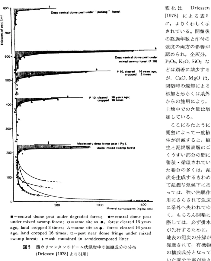 図 5 西カ リマ ンタ ンの ドーム状泥炭中の無機成分の分布 ( Dr i e s s en[ 197 8] よ り引用 ) 変 化 は, Dr i essen[1978]に よ る 表5に, よ り くわ し く示され て い る｡ 開墾 後の経 過 年 数 と作 付 の強 度 の両 方 の影 響 が諸 め られ , 全 灰 分 ,P205,K20,Si02など は顕 著 に減少 す るが ,CaO,MgO は,開 墾 時 の焼 却 に よ る添 加 と恐 ら くは系 外か らの施 用 に よ り,土 