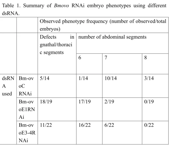 Table  1.  Summary  of  Bmovo  RNAi  embryo  phenotypes  using  different  dsRNA. 