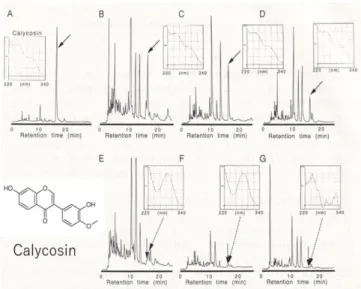 Fig. 8.  Confirmation of calycosin in kampo formulations. (A)  Standard solution (Astragali Radix  extract), (B)  Juzentaiho-to,  (C) Hochuuekiki-to,  (D) Bouiougi-to,  (E) Juzentaiho-to lacking  Astragali Radix reparation, (F) Hochuuekiki-to lacking Astra