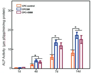 Fig. 5  Cell  proliferation  and  viability  of  hiPSC-MSCs  attached to CPC scaffold.