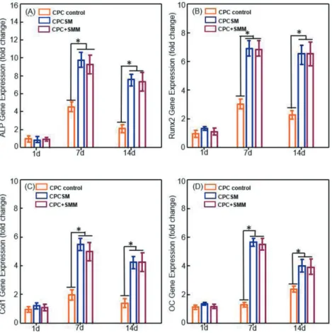 Fig. 7  hiPSC-MSC  osteogenic  differentiation  on  CPC  control,  CPCSM,  and  CPC+SMM groups.