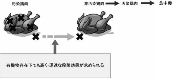 図 1 ．交差汚染模式図【結果及び考察】①有機物存在下・非存在下での殺菌効果 200ppm NaOClは有機物非存在下では，高く・迅速な殺菌効果を示した．0.17％ Ca（OH）2 は有機物存在下でも殺菌効果が持続した．200ppm NaOCl及び0.17％ Ca（OH）2の混合液は有機物存在下でも高く・迅速な殺菌効果を示し，相乗効果と考えられた．②食鳥処理場をのチラー槽を想定した交差汚染抑制強化試験混合液で処理した際，大腸菌とS