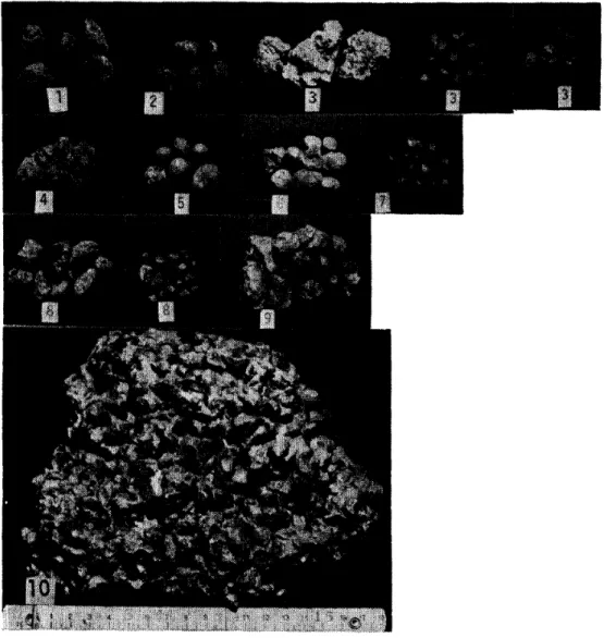 Fig. 2 Representative glaebules and indurated laterite