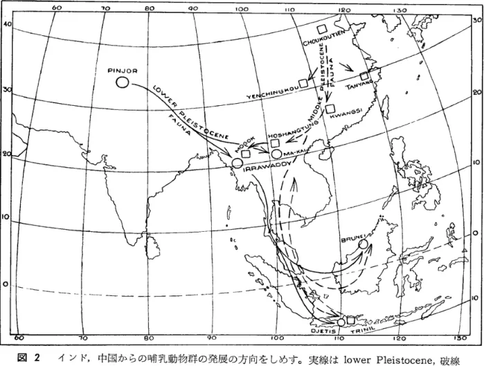 図 2 イン ド,中国からの噂乳動物群の発展の方向を しめす｡実線は l owe rPl e i s t oc e ne ,破線 は mi ddl ePl e i s t oc e ne で,それぞれ vonKoe ni gs wal dの ̀ ･ Si va‑ Mal ayan Fauna , "