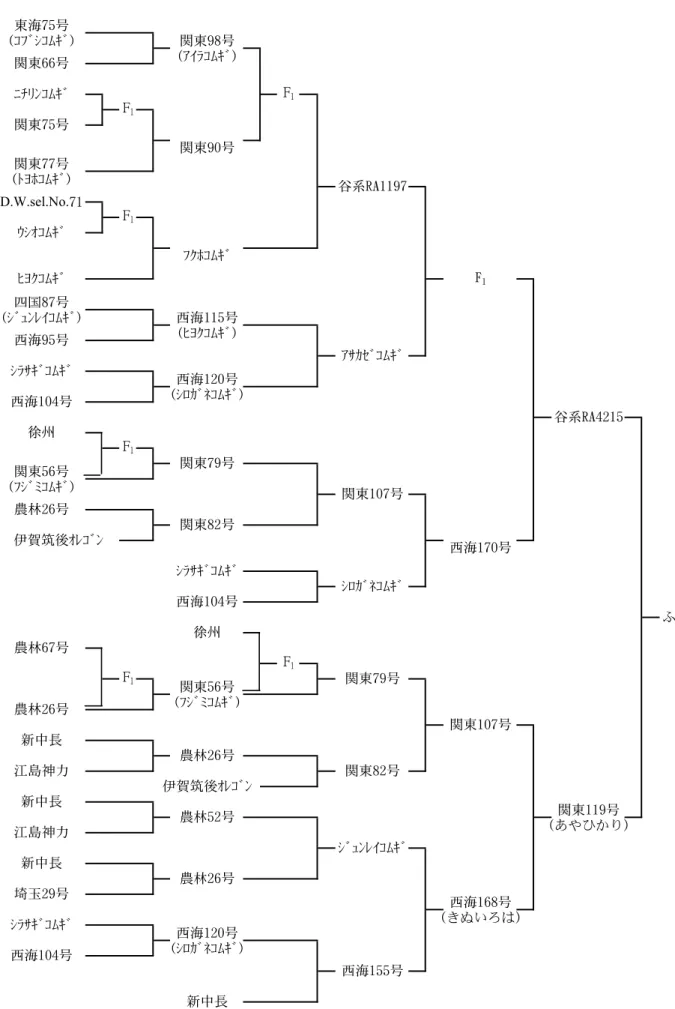 図 1　 「ふくあかり」の系譜๫އ86৽)»Íß½»Ò¸ß*࠙๫:9৽)²³Ø»Ò¸ß*࠙๫88৽)Å×Ï»Ò¸ß*ઠਈ98৽)½ß®ÞÛ³»Ò¸ß*౧އ226৽)Ì×¹»Ò¸ß*౧އ231৽)½Ü·ßÉ»Ò¸ß*࠙๫67৽)Í½ßÑ»Ò¸ß*࠙๫67৽)Í½ßÑ»Ò¸ß* ࠙๫22:৽ )зѹѧрѿ*౧އ279৽)тѡй҂Ѥ*౧އ231৽)½Ü·ßÉ»Ò¸ß*G2࠙๫77৽ÇÂÙÞ»Ò¸ß²¼·¿ß»Ò¸ß½Ø¼¸ß»Ò¸ßɢɍ൮पSB22:8࠙๫86৽ɢɍ౧އ215৽ంඩේ౧އ215৽࠙๫8:৽ɢɍంඩ