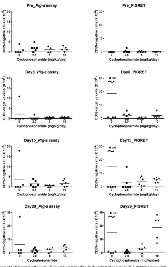 Fig. 3. Frequencies of CD59-negative RBCs or RETs in rats treated with a 28-day repeated dose with CP