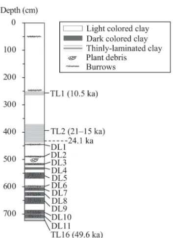 Fig. 2. Lithology of the IWANAI No. 3 core. The dark layers are numbered sequentially from the top of the core