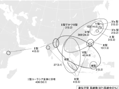 図 4 　アワ GBSS 1遺伝子の多様な対立遺伝子の地理的分布（Kawaseet al.　2005原図を改変）4（0.5）Ⅱ型Ⅰ型ユーラシア全体に分布436（50.1） 遺伝子型 系統数（871系統中の％）Ⅱ型でかつⅥ型2（0.2）369（24.3）Ⅳ型122（14.0）  Ⅴ型 2（0.2）Ⅳa 型 2（0.2）Ⅳb 型3（0.3）X 型13（1.5）Ⅲ型Ⅵ型 42（4.8） 4（0.5）Ⅸ型Ⅶ型27（3.1）Ⅷ型      2（0.2） VI 型はインド東部，ネパール，東南アジアの半島部から島嶼部にか