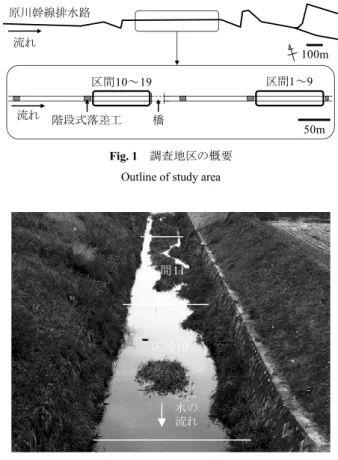 Fig. 2  調査水路の写真