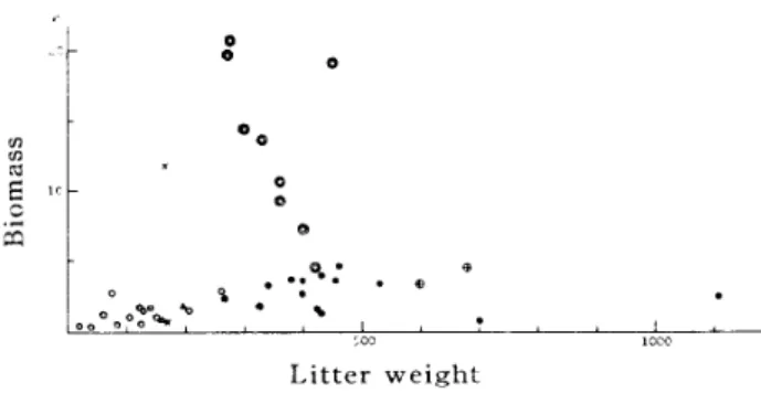 Fig. 4 Relationship between biomass and litter weight