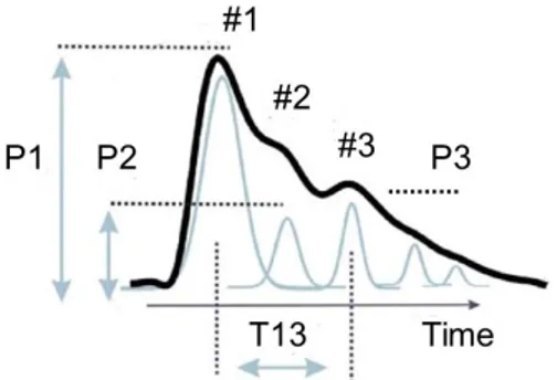 Fig. 2 Real time (solid line) and reflected (grey line) of the arterial pres- pres-sure pulse time signal obtained by the pulse contour method.