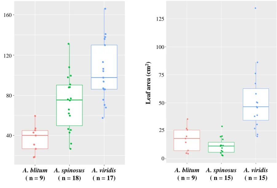 Fig. 2. Box plots of plant height and leaf area of Amaranth accessions. 
